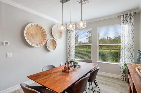 4539 San Martino Drive Wesley Chapel FL 33543