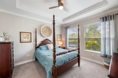 4539 San Martino Drive Wesley Chapel FL 33543