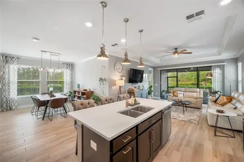 4539 San Martino Drive Wesley Chapel FL 33543