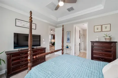 4539 San Martino Drive Wesley Chapel FL 33543