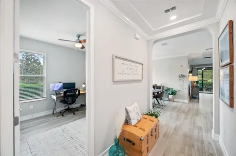 4539 San Martino Drive Wesley Chapel FL 33543