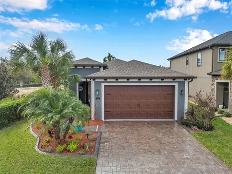 4539 San Martino Drive Wesley Chapel FL 33543
