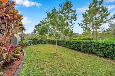 4539 San Martino Drive Wesley Chapel FL 33543