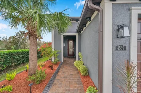 4539 San Martino Drive Wesley Chapel FL 33543
