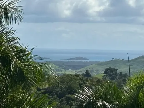 31 Int 950 Km.hm 9.7 Bo Rio Blanco Naguabo PR 00718