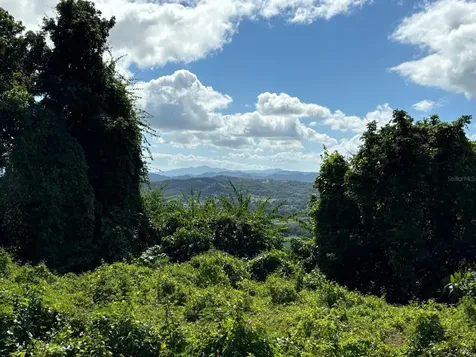 31 Int 950 Km.hm 9.7 Bo Rio Blanco Naguabo PR 00718