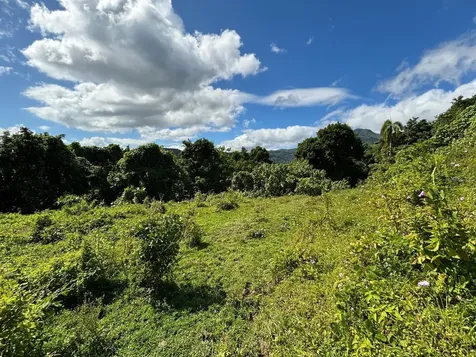 31 Int 950 Km.hm 9.7 Bo Rio Blanco Naguabo PR 00718