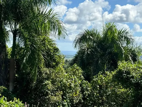 31 Int 950 Km.hm 9.7 Bo Rio Blanco Naguabo PR 00718