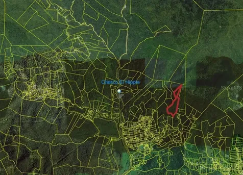 31 Int 950 Km.hm 9.7 Bo Rio Blanco Naguabo PR 00718