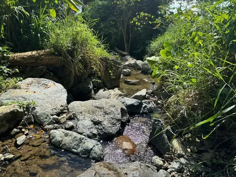 31 Int 950 Km.hm 9.7 Bo Rio Blanco Naguabo PR 00718