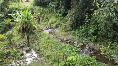 31 Int 950 Km.hm 9.7 Bo Rio Blanco Naguabo PR 00718