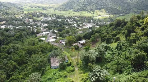 31 Int 950 Km.hm 9.7 Bo Rio Blanco Naguabo PR 00718