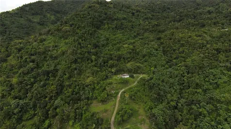 31 Int 950 Km.hm 9.7 Bo Rio Blanco Naguabo PR 00718