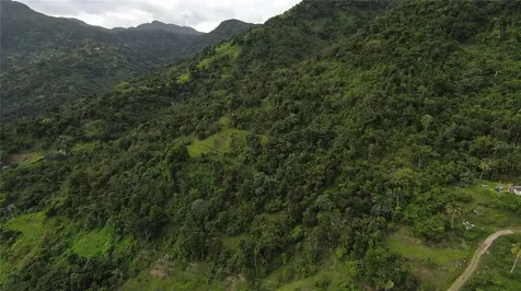 31 Int 950 Km.hm 9.7 Bo Rio Blanco Naguabo PR 00718