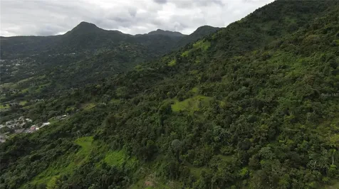 31 Int 950 Km.hm 9.7 Bo Rio Blanco Naguabo PR 00718