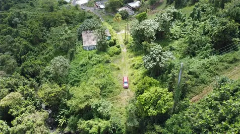 31 Int 950 Km.hm 9.7 Bo Rio Blanco Naguabo PR 00718