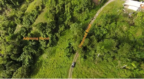 31 Int 950 Km.hm 9.7 Bo Rio Blanco Naguabo PR 00718