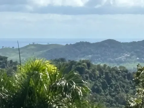 31 Int 950 Km.hm 9.7 Bo Rio Blanco Naguabo PR 00718