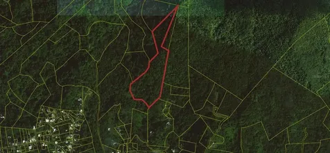 31 Int 950 Km.hm 9.7 Bo Rio Blanco Naguabo PR 00718