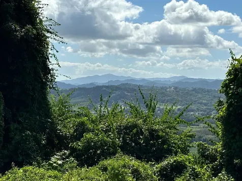 31 Int 950 Km.hm 9.7 Bo Rio Blanco Naguabo PR 00718