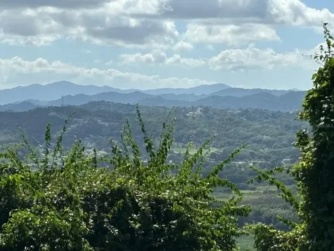 31 Int 950 Km.hm 9.7 Bo Rio Blanco Naguabo PR 00718