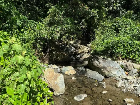 31 Int 950 Km.hm 9.7 Bo Rio Blanco Naguabo PR 00718