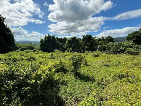 31 Int 950 Km.hm 9.7 Bo Rio Blanco Naguabo PR 00718