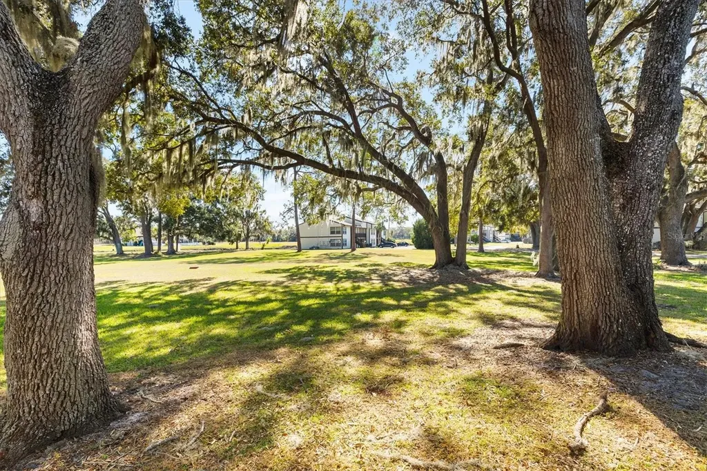 13103 Sandalwood Drive Wildwood FL 34785