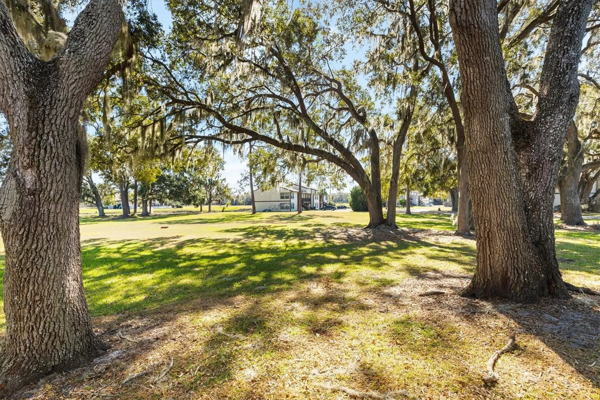 13103 Sandalwood Drive Wildwood FL 34785