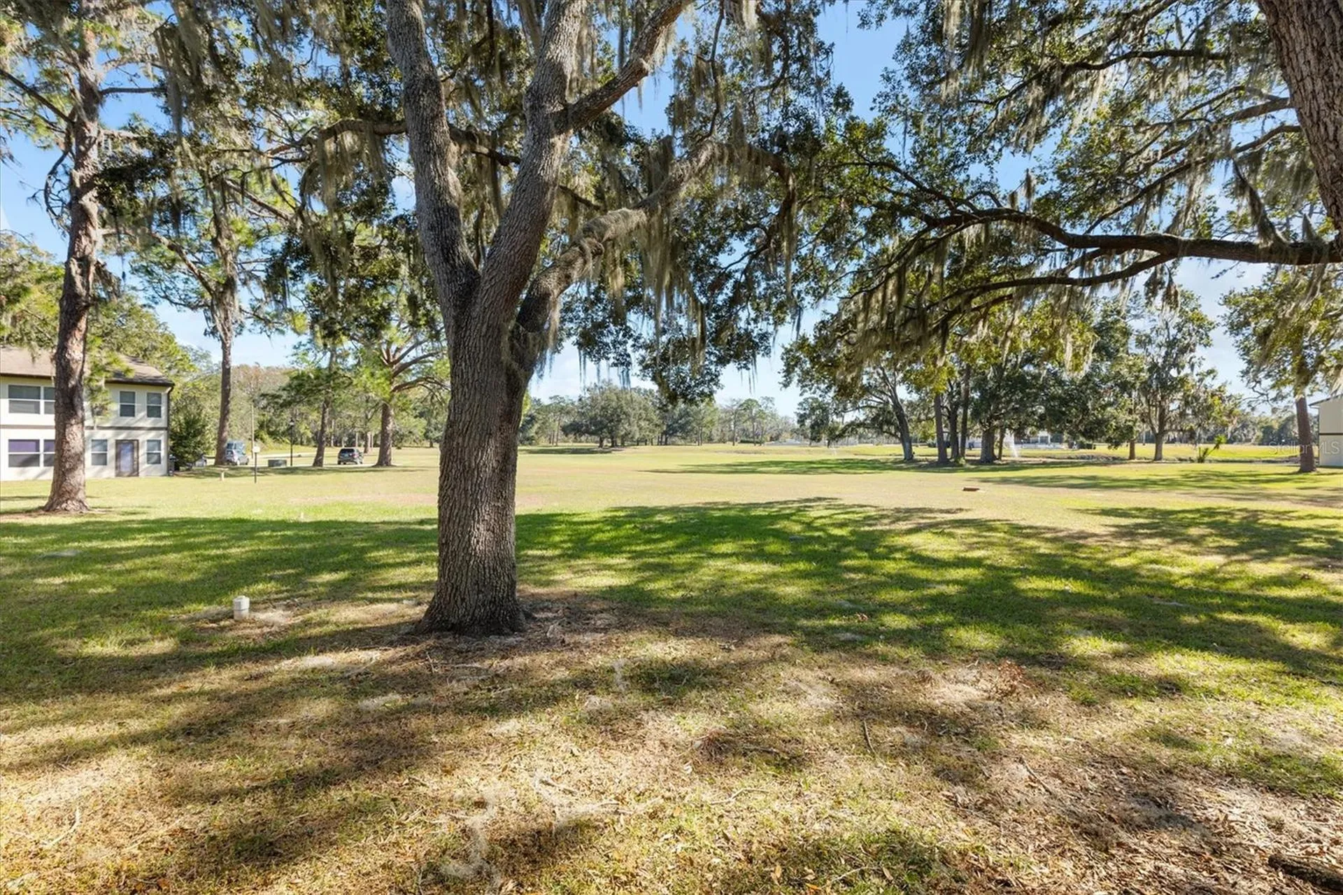 13103 Sandalwood Drive Wildwood FL 34785