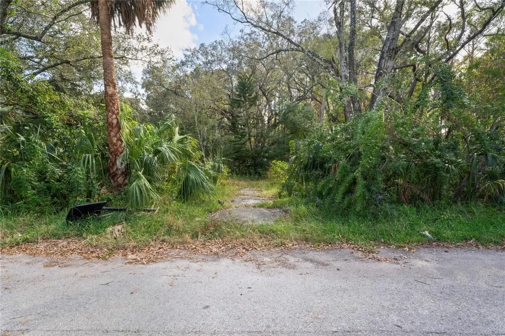 9150 Kiowa Drive New Port Richey FL 34654