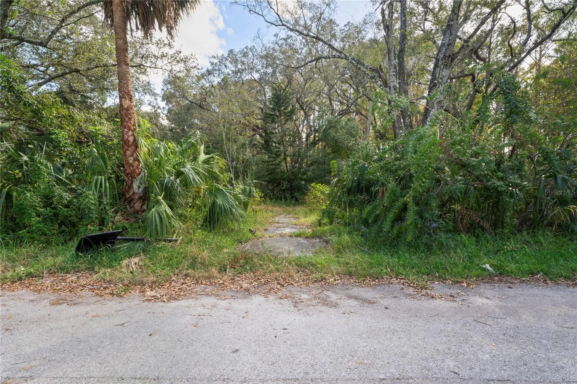 9150 Kiowa Drive New Port Richey FL 34654