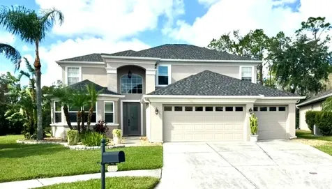 27246 Firebush Drive Wesley Chapel FL 33544