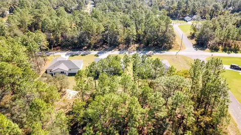8104 N Santos Drive Citrus Springs FL 34434