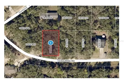 Casaurina Road Lady Lake FL 32159