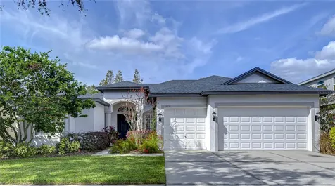 3811 Misty Willow Way Lutz FL 33558
