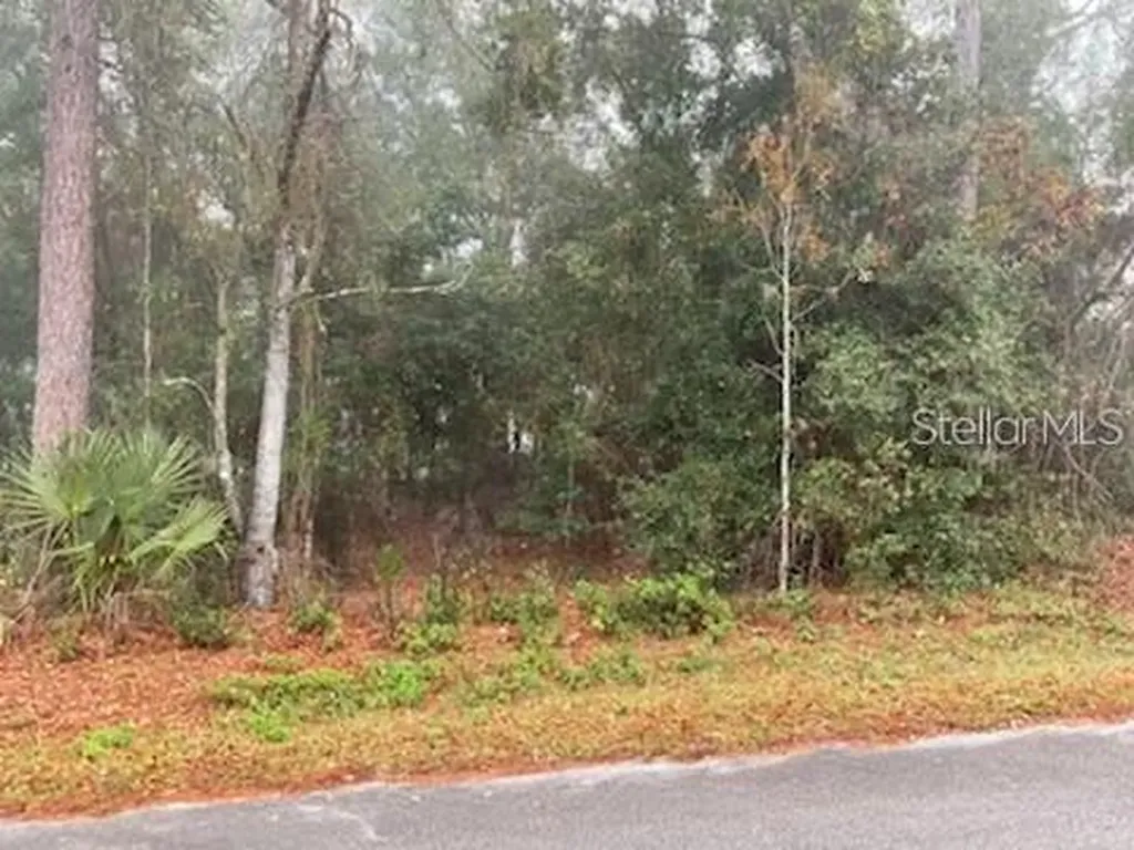 0 SE 99th Avenue Belleview FL 34420