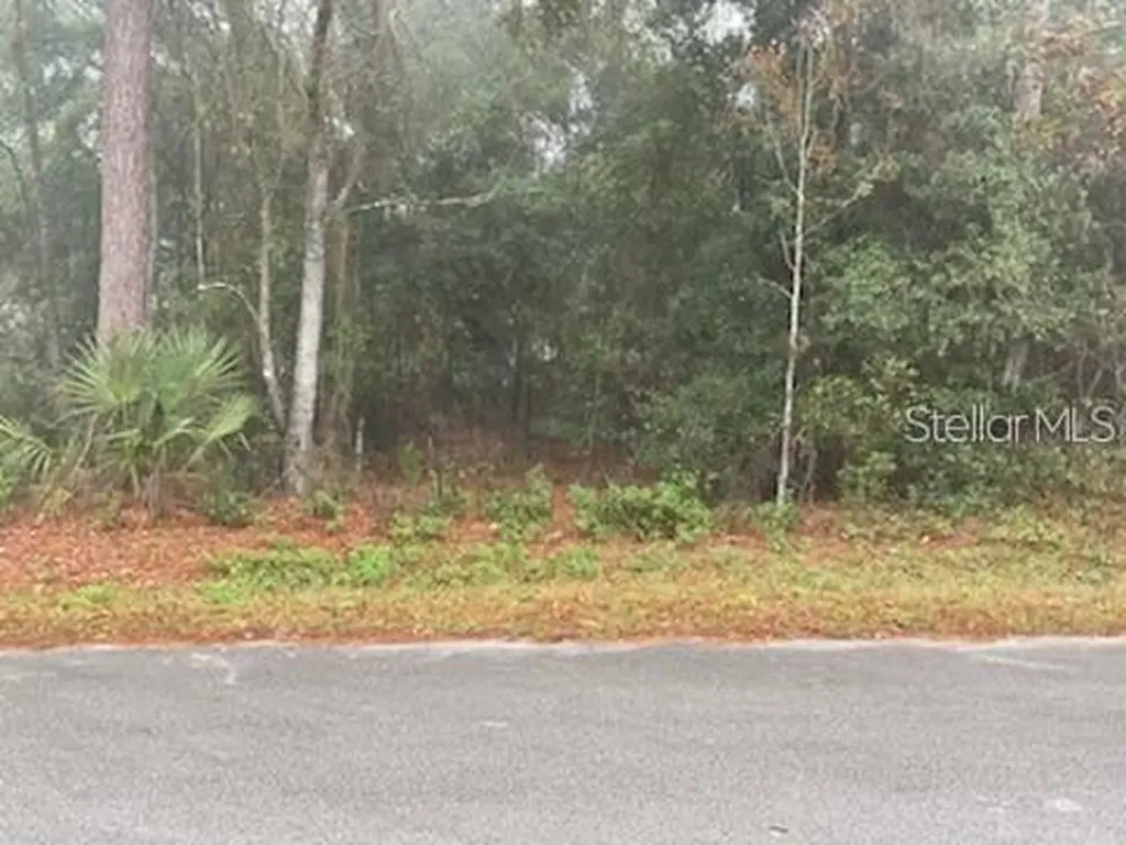 0 SE 99th Avenue Belleview FL 34420