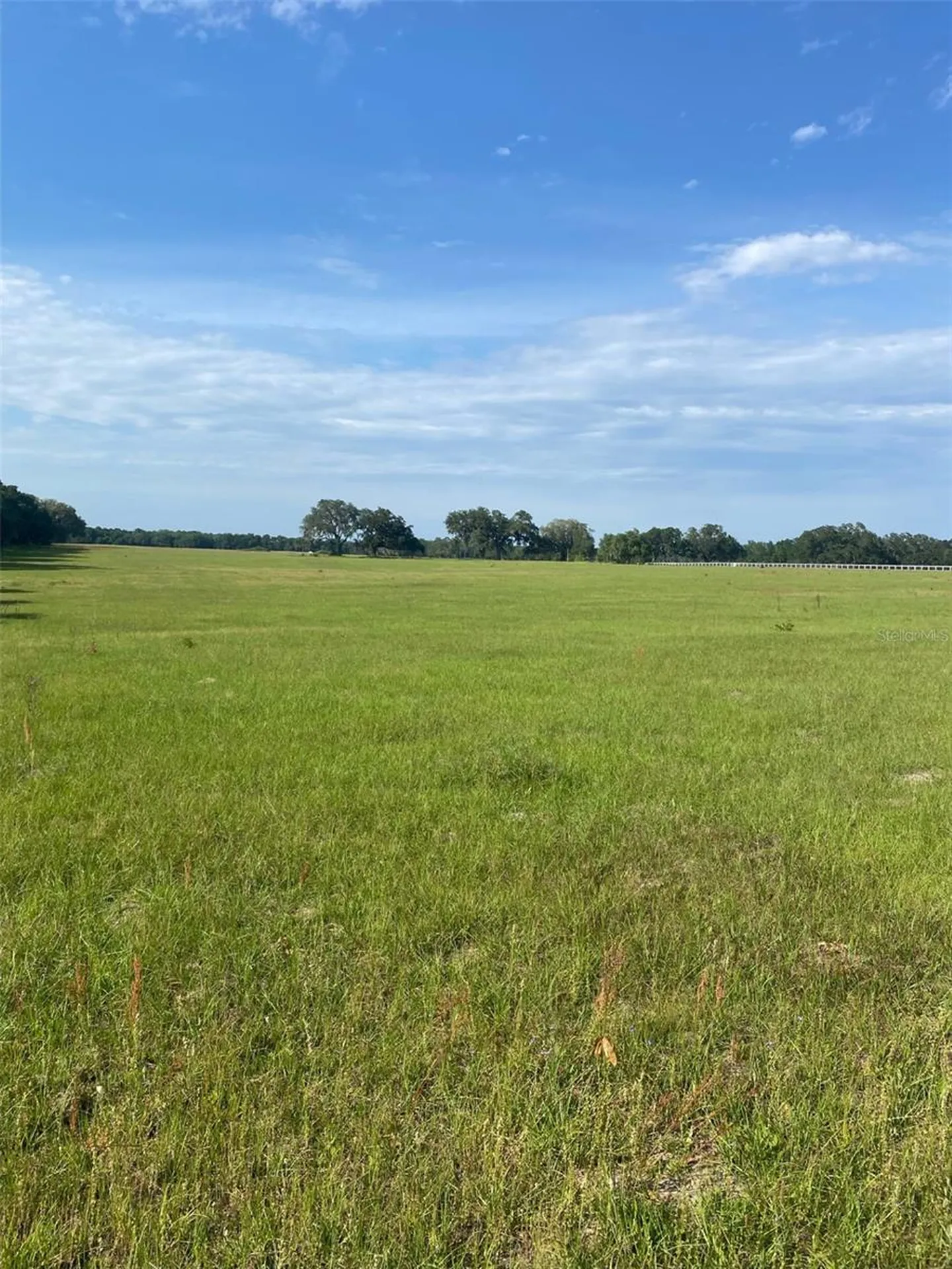0 NW 163 Terrace Morriston FL 32668