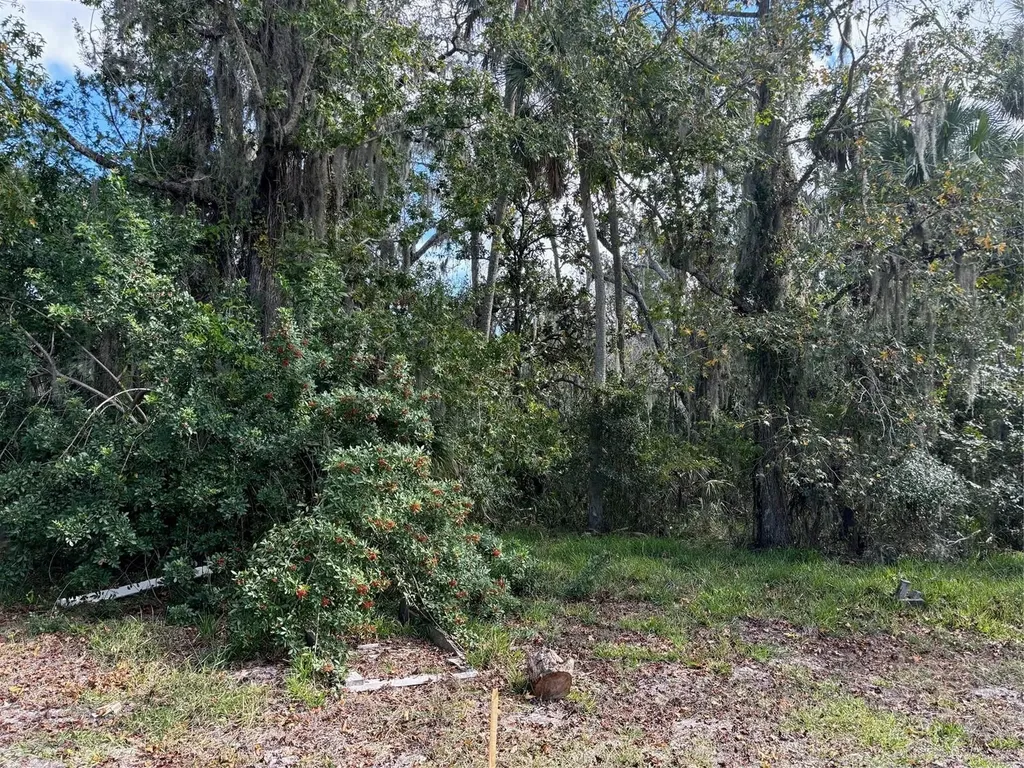 0 Kolb Place Hudson FL 34667