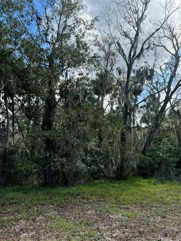 0 Kolb Place Hudson FL 34667