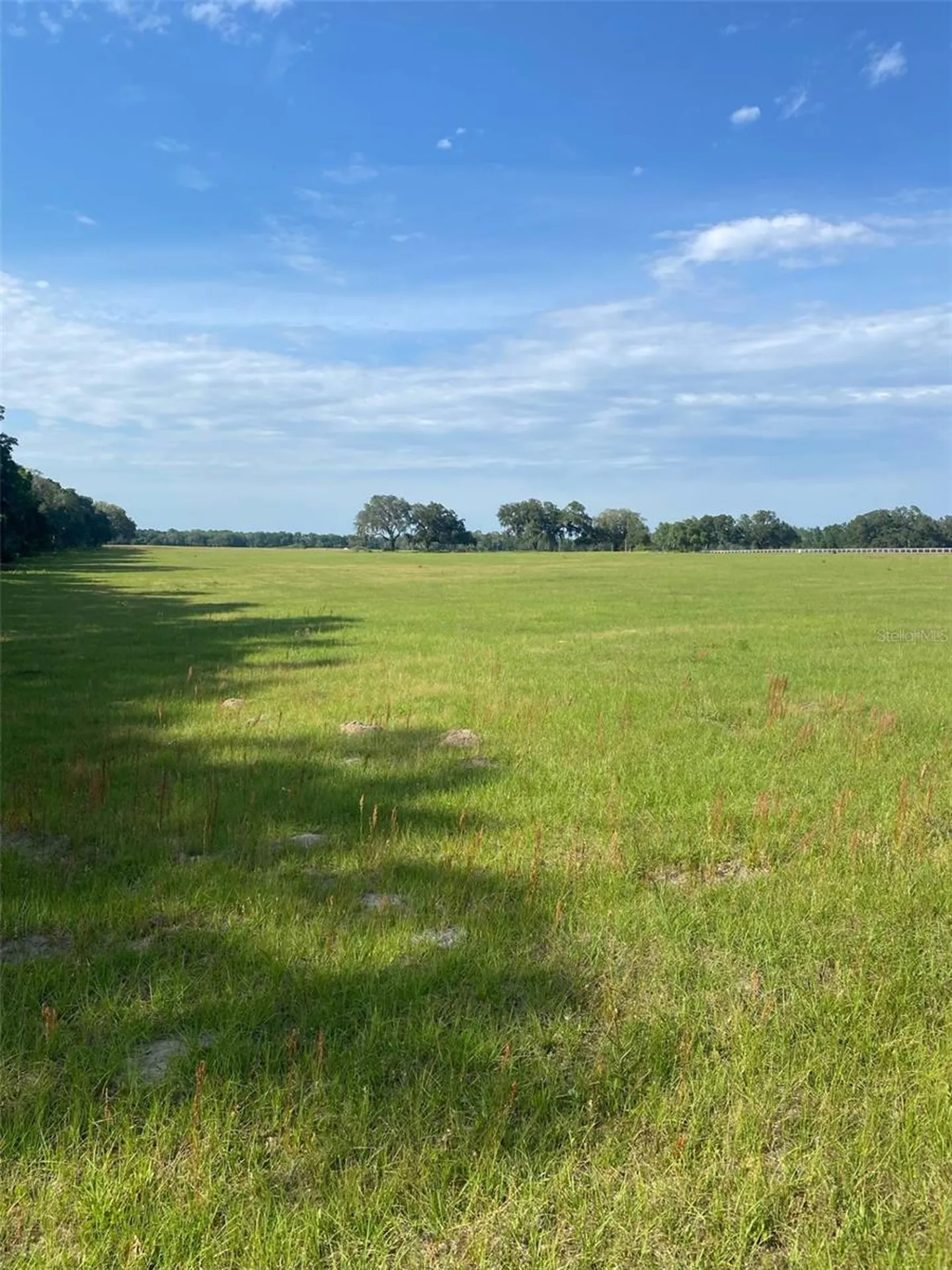 0 NW 163 Terrace Morriston FL 32668