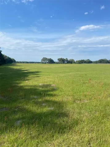 0 NW 163 Terrace Morriston FL 32668