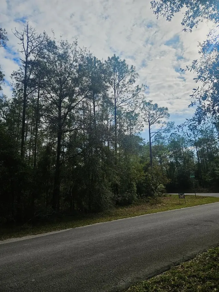 Southwest 206th Court Road Dunnellon FL 34431