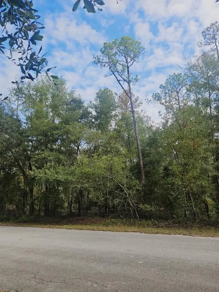 Southwest 206th Court Road Dunnellon FL 34431