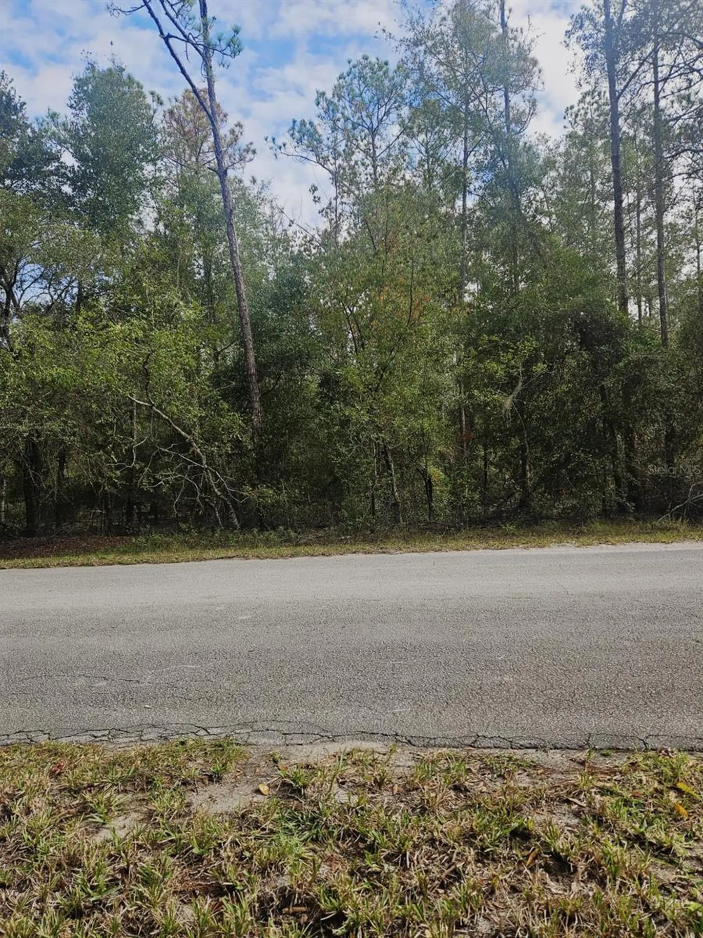 Southwest 206th Court Road Dunnellon FL 34431
