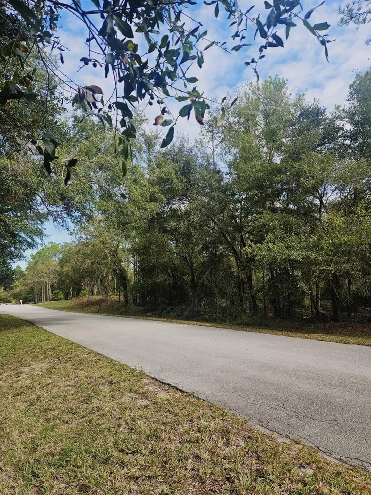 Southwest 206th Court Road Dunnellon FL 34431