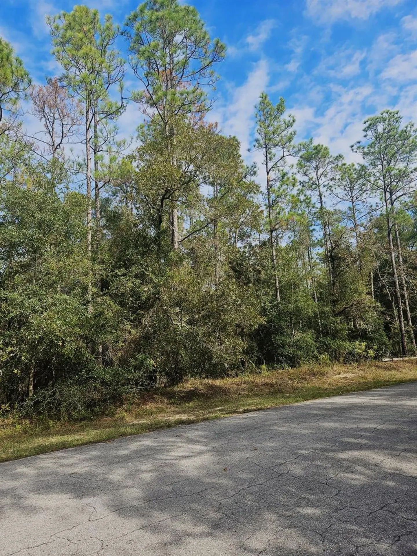 Southwest 206th Court Road Dunnellon FL 34431