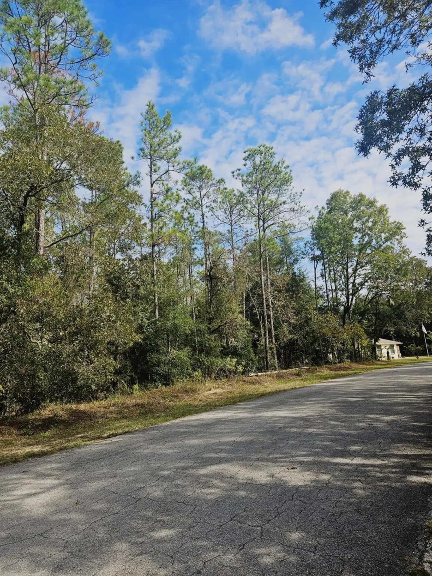 Southwest 206th Court Road Dunnellon FL 34431