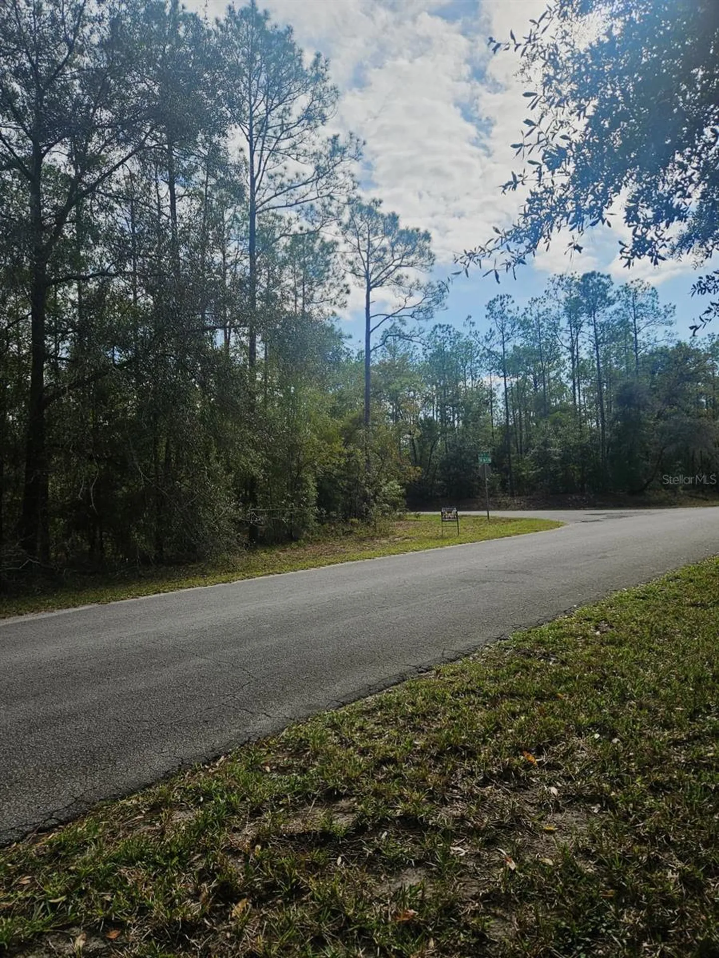 Southwest 206th Court Road Dunnellon FL 34431